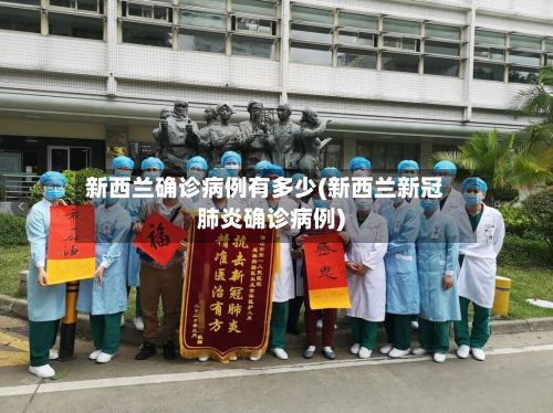 新西兰确诊病例有多少(新西兰新冠肺炎确诊病例)-第3张图片